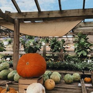 Meet your Posher, Abbey